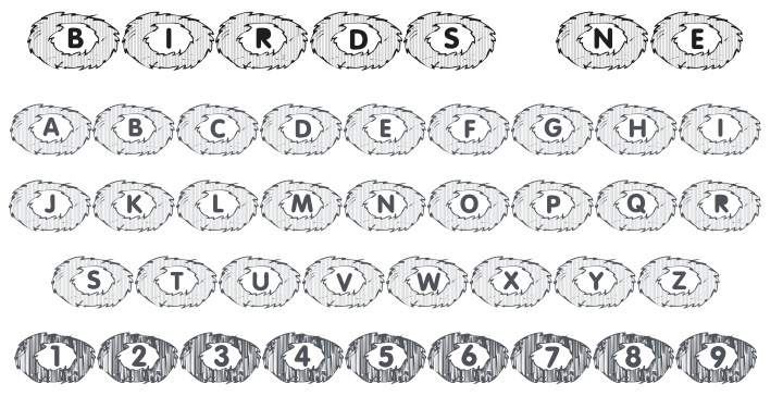 101! Birds Nest Font