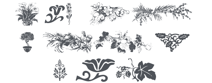 101! Floral Designs 5 Font