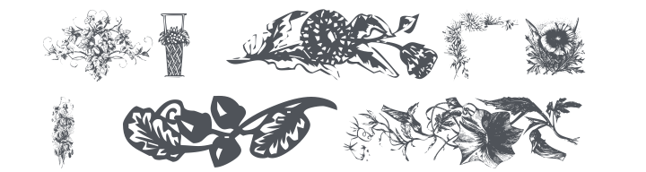 101! Floral Designs 6 Font