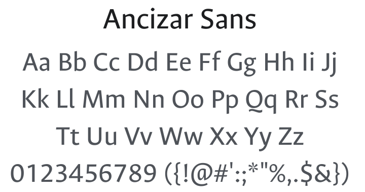 Ancizar Sans Font Family