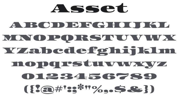 Asset Font