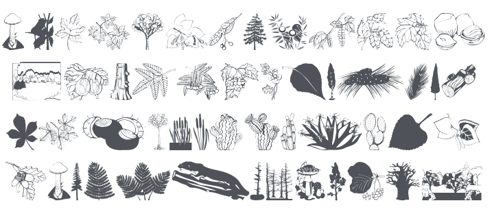 Botanish And Relatives Font