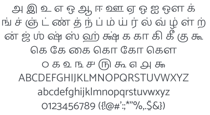 Catamaran Font Family