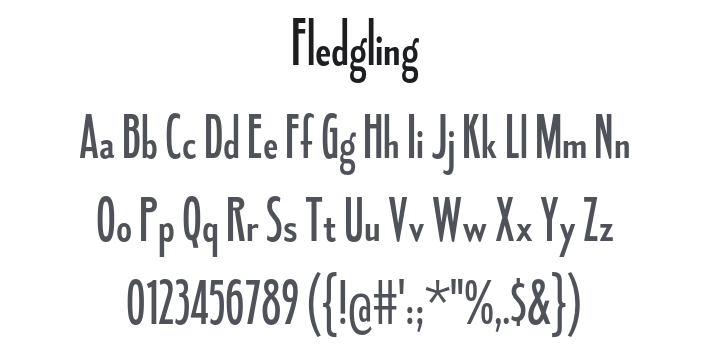Fledgling Font