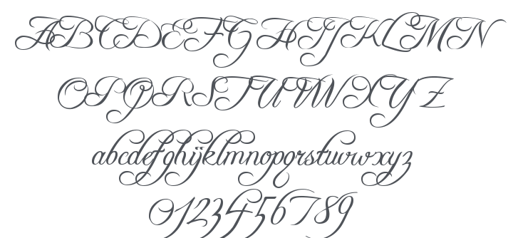Freebooter Script Font Family