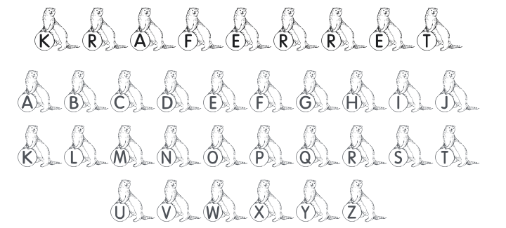 KR A Ferret for Angel Font