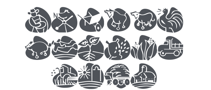 KR Back On The Farm Font
