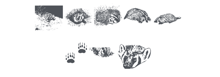 KR Crystal's Badgers Font