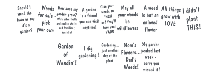 KR Gardenz Font