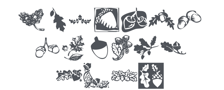 KR Oaken Font