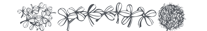 KR Overly Cloverly Font