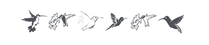 KR Renee's Hummingbirds Font
