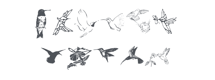 KR Renee's Hummingbirds Two Font