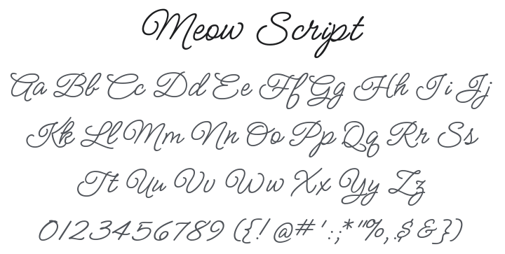 Meow Script Font