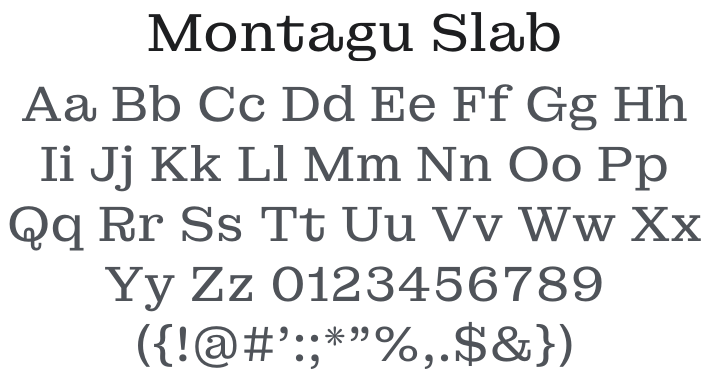 Montagu Slab Font Family