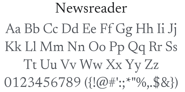 Newsreader Font Family