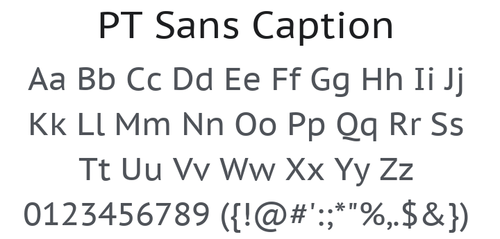 PT Sans Caption Font Family