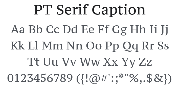 PT Serif Caption Font Family