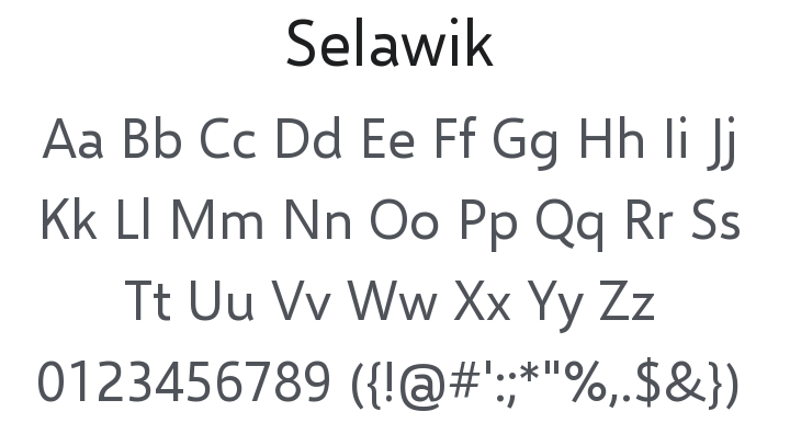Selawik Font Family