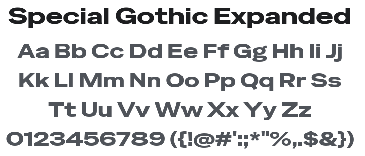 Special Gothic Expanded One Font