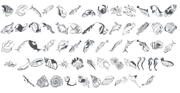 Swimming Beautys Font