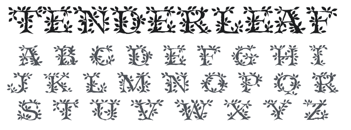 Tenderleaf Font