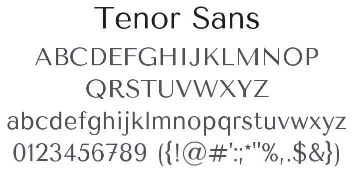 Tenor Sans Font