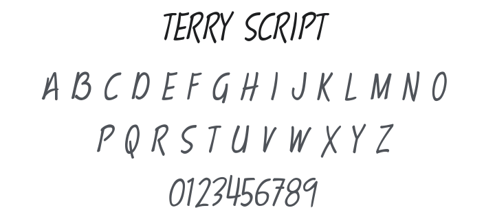 Terry Script Font