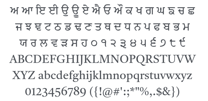 Tiro Gurmukhi Font Family