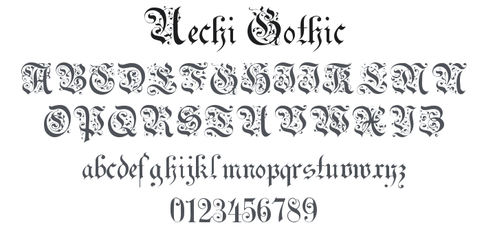 Uechi Gothic Font Family