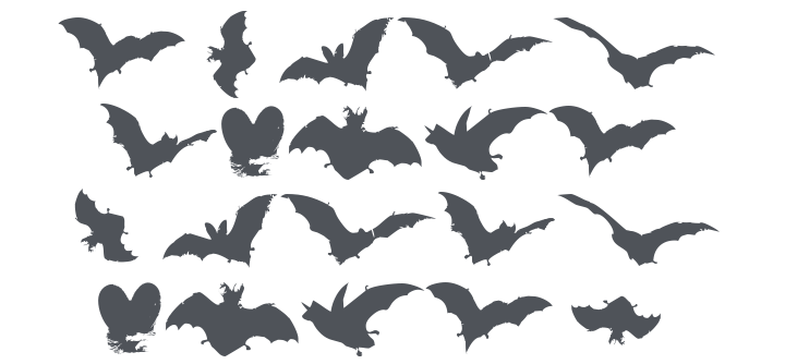 Vampyr Bats Font