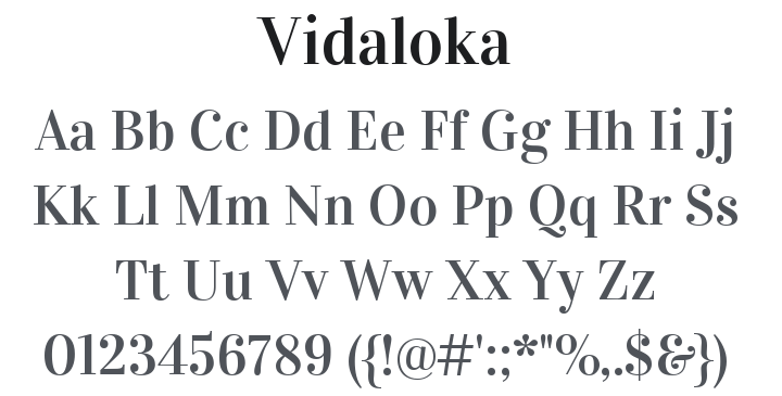 Vidaloka Font
