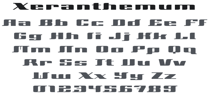 Xeranthemum Font