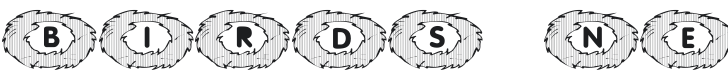 101! Birds Nest Font Preview