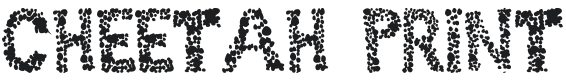 101! Cheetah Print Font Preview