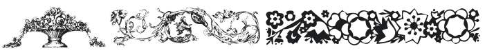 101! Floral Dividers 2 Font Preview