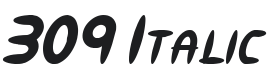 309 Italic Font Preview
