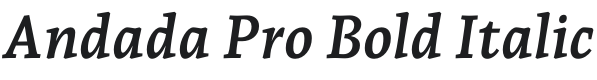 Andada Pro Bold Italic Font Preview