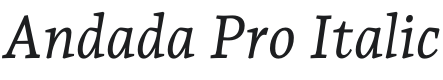 Andada Pro Italic Font Preview