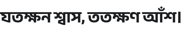 Anek Bangla Bold Font Preview