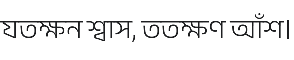 Anek Bangla Light Font Preview