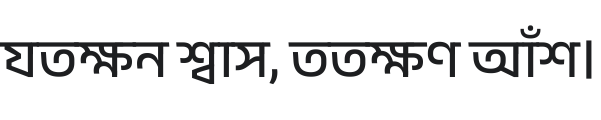 Anek Bangla Medium Font Preview