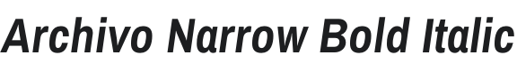 Archivo Narrow Bold Italic Font Preview