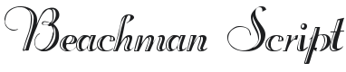 Beachman Script Font Preview