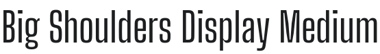 Big Shoulders Display Medium Font Preview