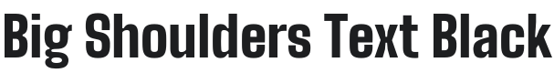 Big Shoulders Text Black Font Preview