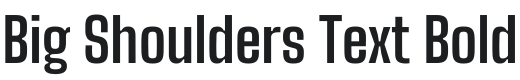 Big Shoulders Text Bold Font Preview