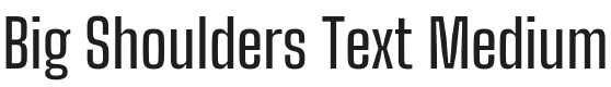 Big Shoulders Text Medium Font Preview