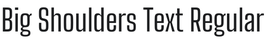 Big Shoulders Font Preview