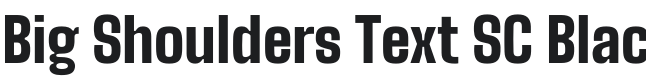 Big Shoulders Text SC Black Font Preview